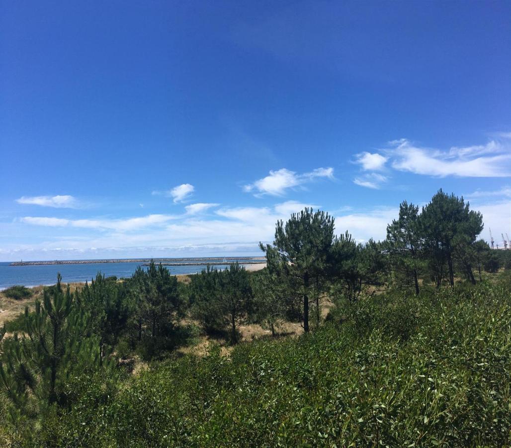 Cabedelo Beach Apartment فيانا دو كاستيلو المظهر الخارجي الصورة